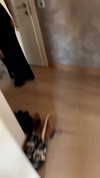railey.tv Altpins Profile Picture