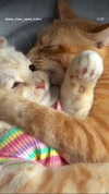 lemoon.ah Altpins Profile Picture