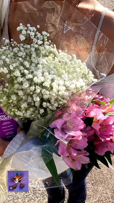 v.qx v.qx archive video