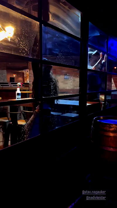 jaroslava_klavir jaroslava_klavir archive video