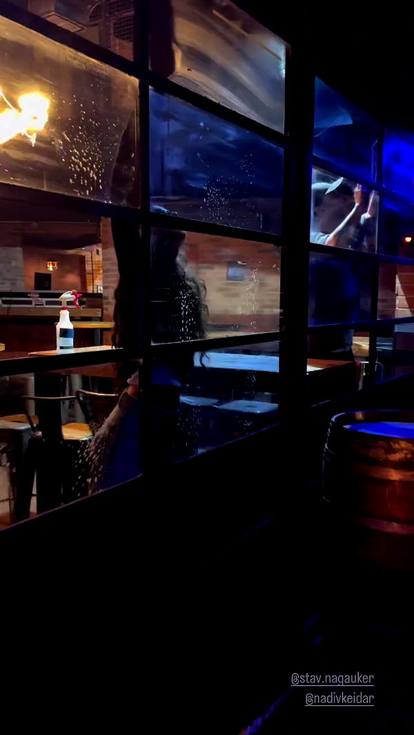 jaroslava_klavir archive video preview