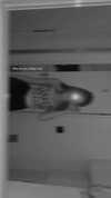 maria_gurevich_ Altpins Profile Picture