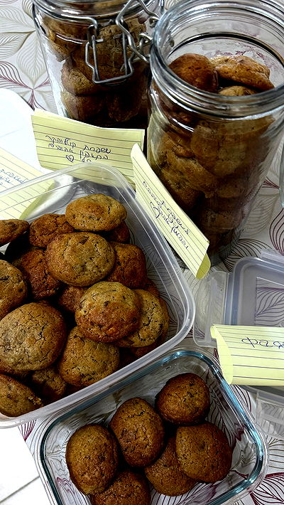 laniskot laniskot archive video