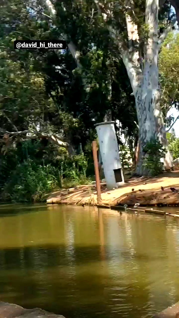 sapi.rberger archive video preview