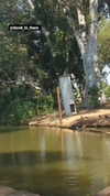 sapi.rberger Altpins Profile Picture