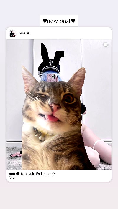 purrrik purrrik archive video