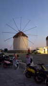 noam_alon1 Altpins Profile Picture