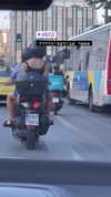 noam_alon1 Altpins Profile Picture