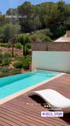 noam_alon1 Altpins Profile Picture