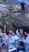 shira_karvat Altpins Profile Picture