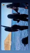 shira_karvat Altpins Profile Picture