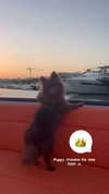 lizakovalenkoo Altpins Profile Picture