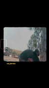 daria.lesin Altpins Profile Picture