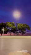 teafl0wer Altpins Profile Picture