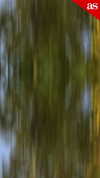 aschileoficial Altpins Profile Picture