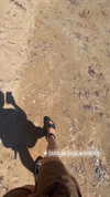 alexandra_stmtk Altpins Profile Picture