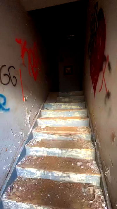 zommmbri zommmbri archive video