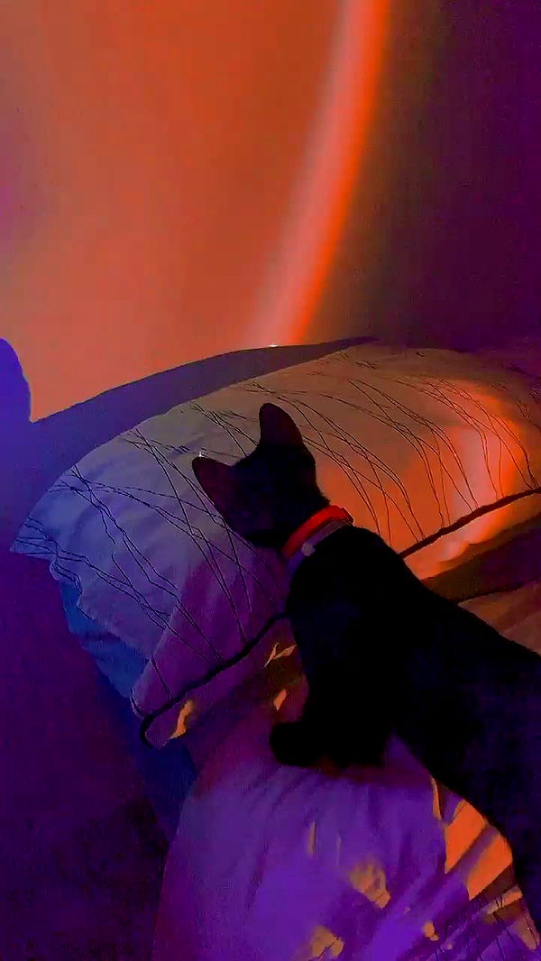 feelbetterinmysweater archive video preview