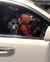 liltay Altpins Profile Picture