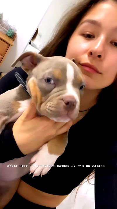 kesemgreenyer kesemgreenyer archive video