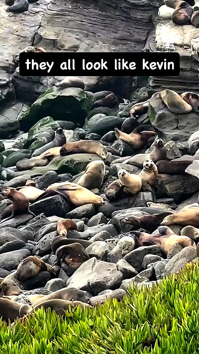 smashedely smashedely archive video