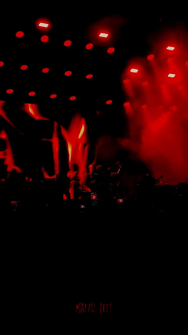 dafnemaba archive video preview
