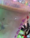 mamyouu_star Altpins Profile Picture