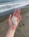 katie_westwood Altpins Profile Picture