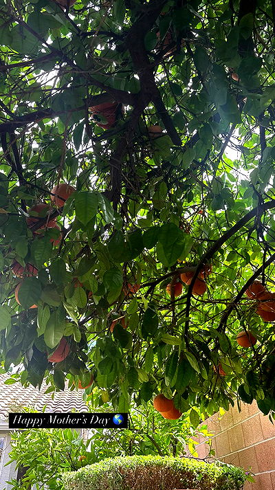 tatum.ricee tatum.ricee archive video