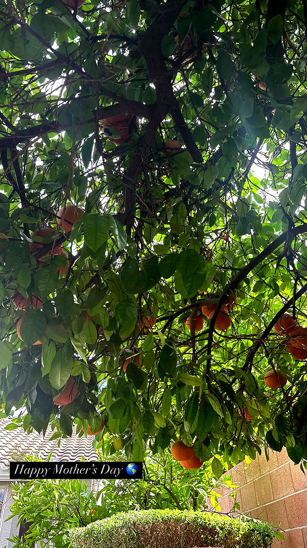 tatum.ricee archive video preview