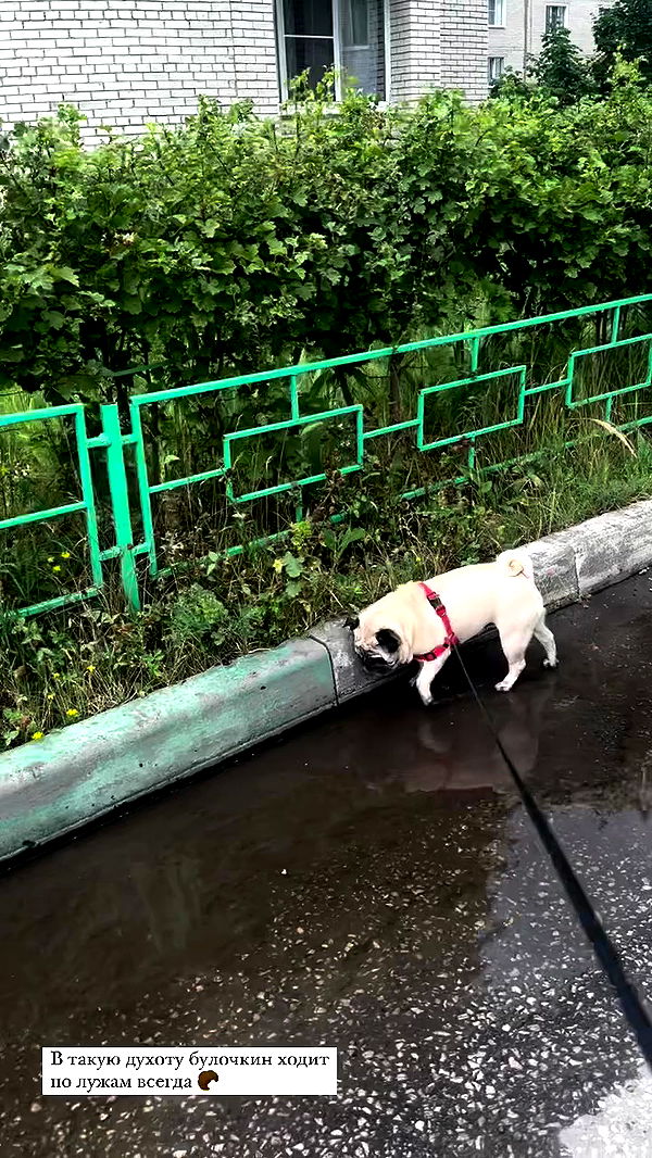 nyityam archive video preview