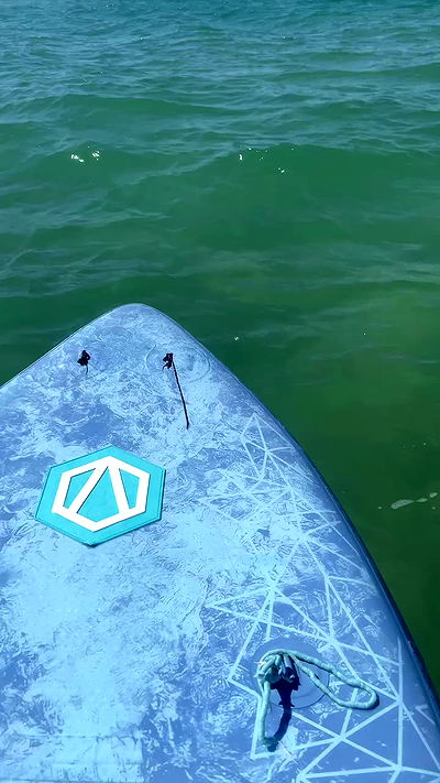 g.a.l.1.a g.a.l.1.a archive video