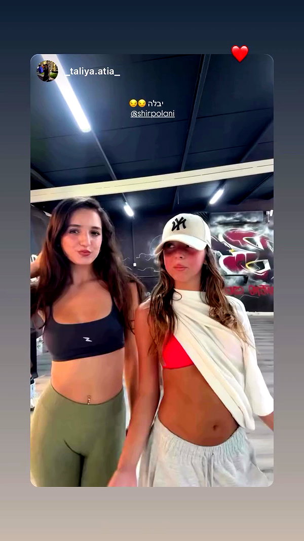 shirpolani archive video preview