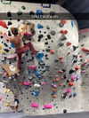 cclaire.bbear1 Altpins Profile Picture