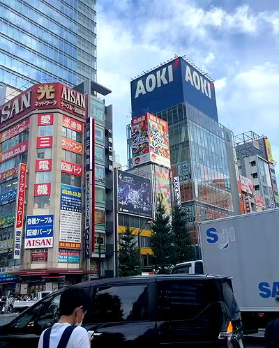 silkton silkton archive video