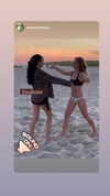 teafl0wer Altpins Profile Picture