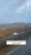alexandra_stmtk Altpins Profile Picture