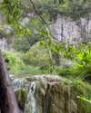 ilanakaver Altpins Profile Picture