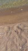 alexandra_stmtk Altpins Profile Picture