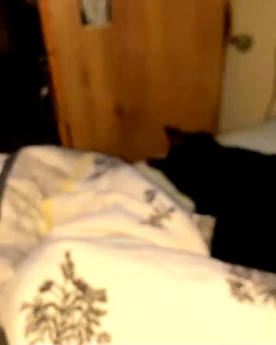 mishel116 mishel116 archive video