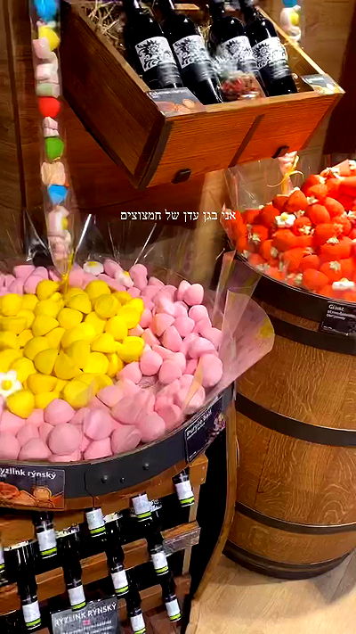 lital.shli lital.shli archive video