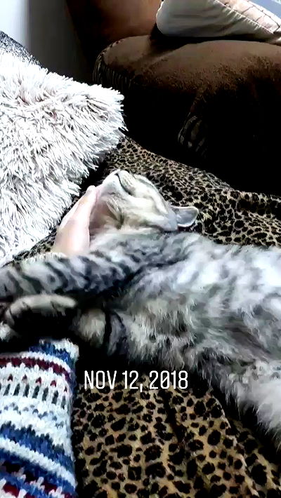 neomiconrad neomiconrad archive video