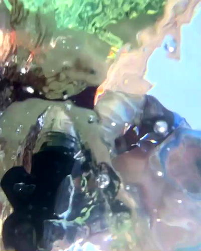 mishel116 mishel116 archive video