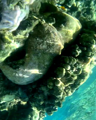 mishel116 mishel116 archive video