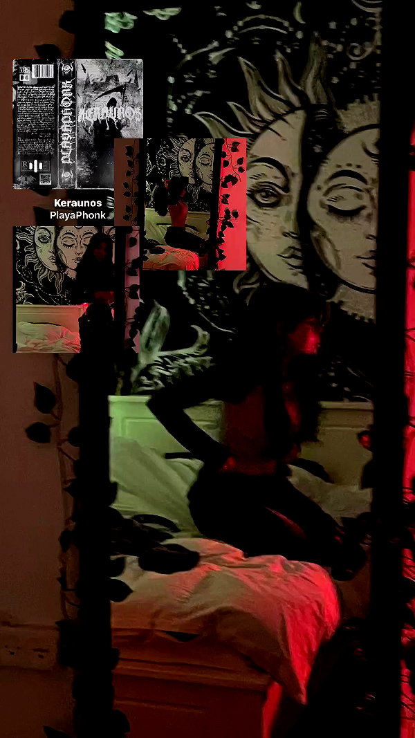noam_fogel40 archive video preview