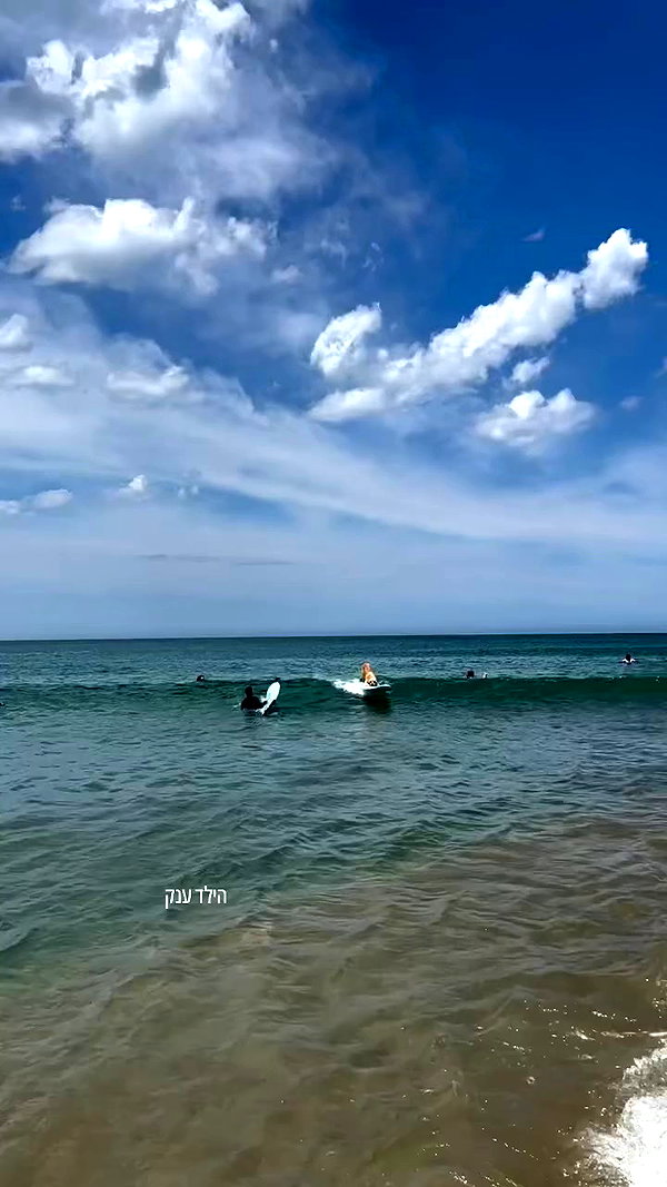 roni__moalem archive video preview
