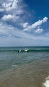 roni__moalem Altpins Profile Picture