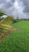 itshollynewton Altpins Profile Picture