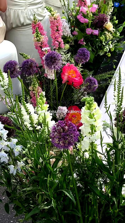 quincymood quincymood archive video