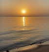 lianaayoun Altpins Profile Picture
